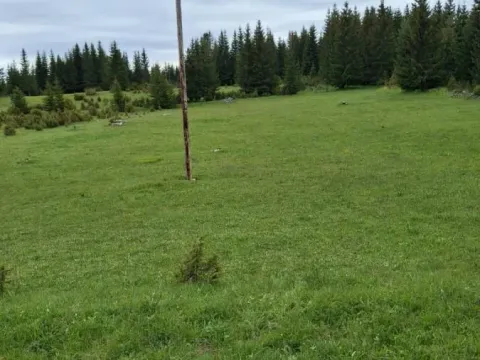 Prodaja, plac, 7800m², Žabljak, Crna Gora - image 3