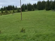 Prodaja, plac, 7800m², Žabljak, Crna Gora - image 3