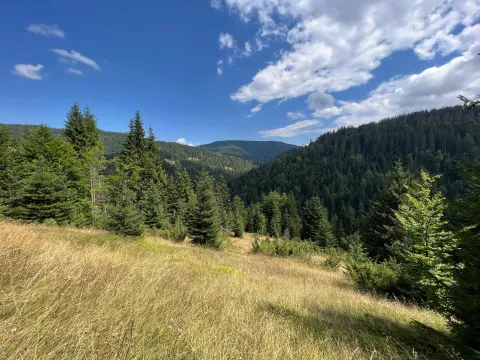 Prodaja, plac, 11000m², Centar, Kolašin - image 5