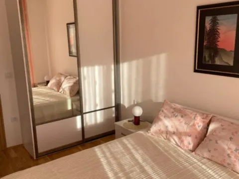 Izdavanje, jednosoban stan, 40m², Stari Aerodrom, Podgorica - image 7