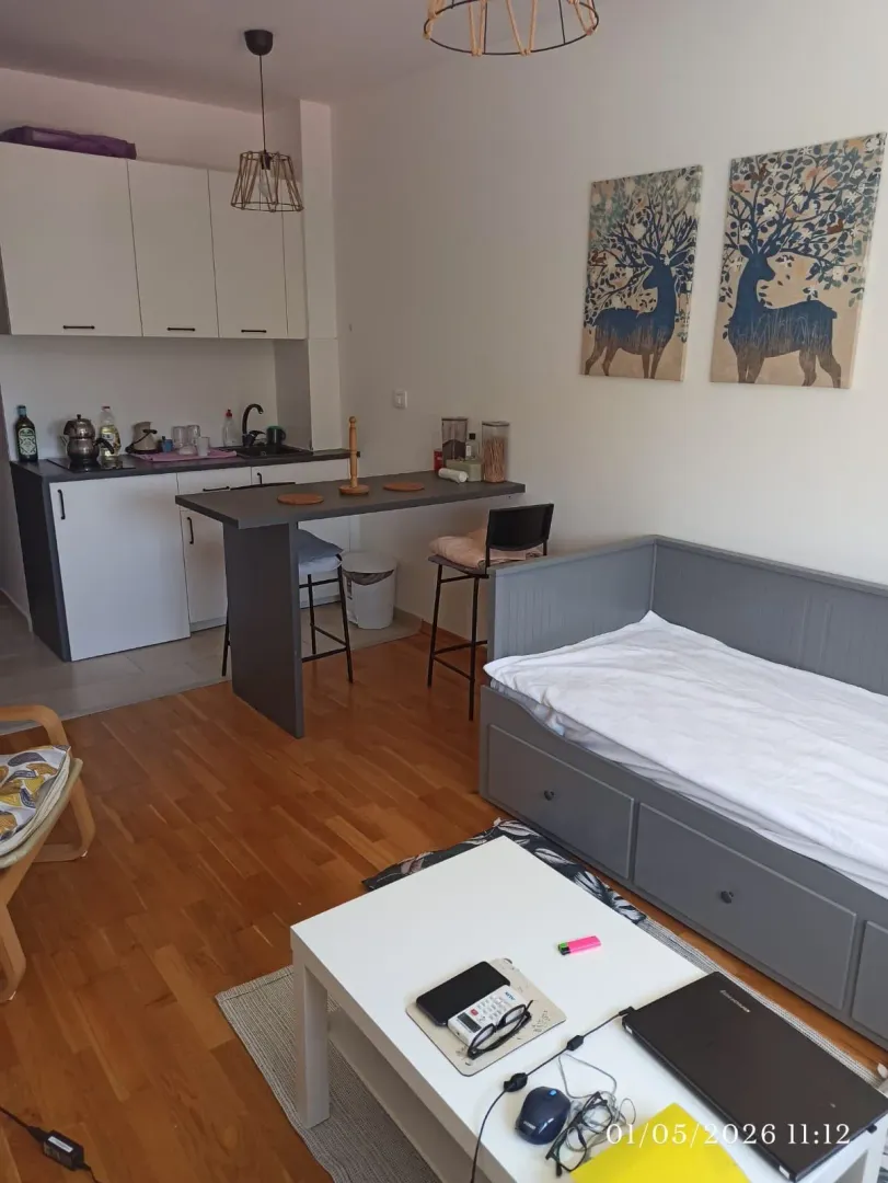 Manji svijetli dnevni boravak sa kuhinjom i trpezarijskim stolom.