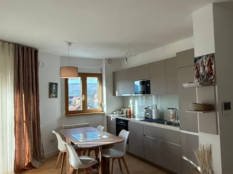 Izdavanje, jednosoban stan, 42m², Tološka šuma, Podgorica - image 3