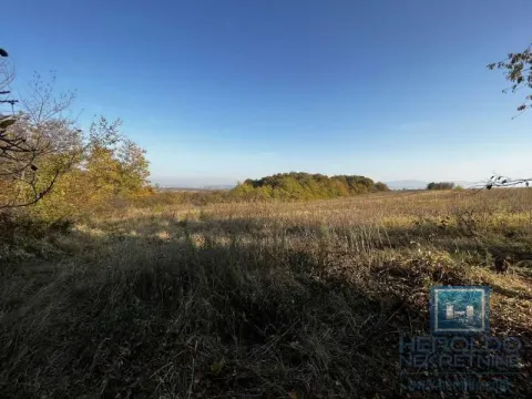 Sale, house, 20m², Lozovik, Jagodina - image 8