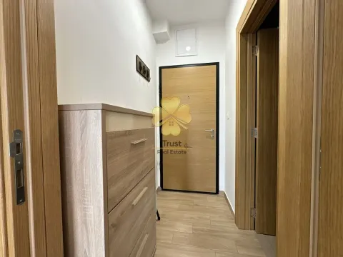 Izdavanje, garsonjera, 30m², Blok 9, Podgorica - image 7