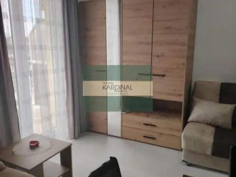 Prodaja, garsonjera, 27m², Centar, Vrnjačka Banja - image 8