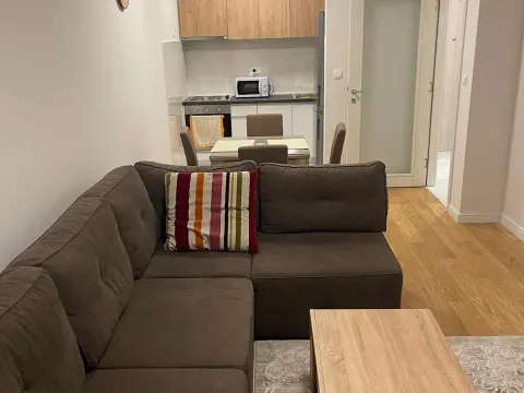 Rent, one bedroom apartment, 47m², Central Point, Podgorica