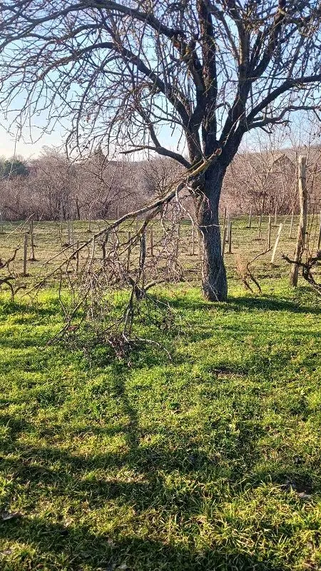 Prodaja, kuća, 70m², Krčedin, Inđija