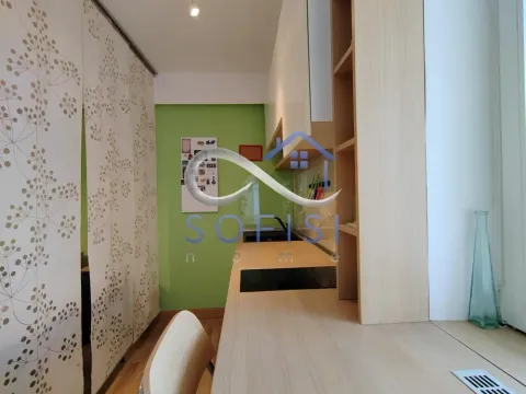 Izdavanje, jednosoban stan, 40m², Liman 3, Novi Sad Sve Podlokacije - image 10