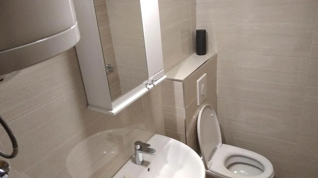 Small bathroom with a sink, mirror, and toilet bowl.