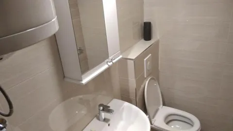 Small bathroom with a sink, mirror, and toilet bowl. - image 7