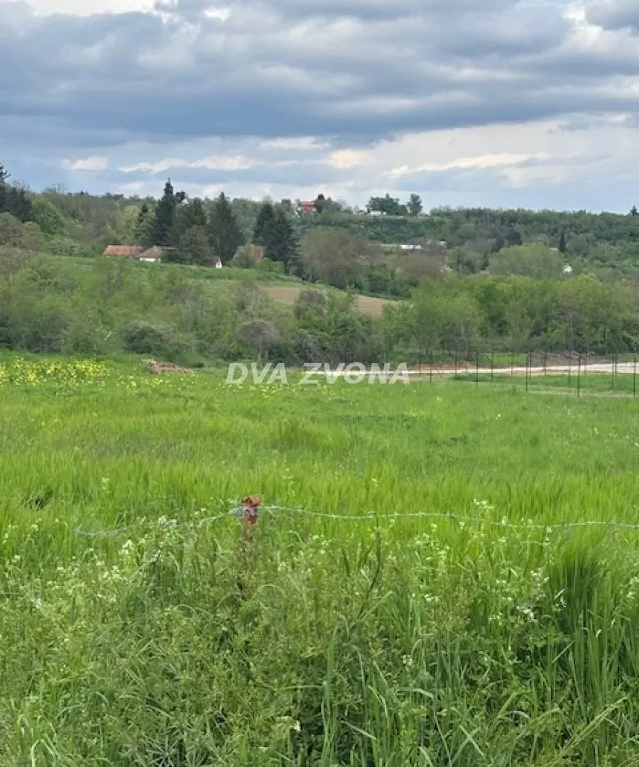 Prodaja, plac, 2600m², Čortanovci, Inđija