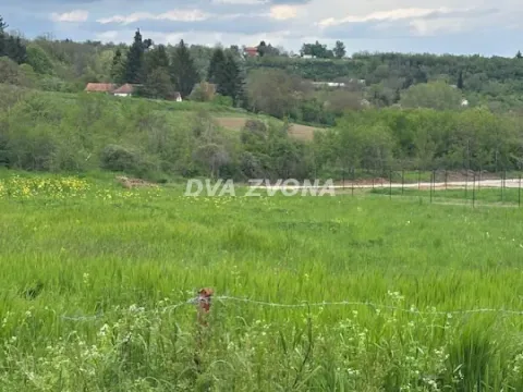 Prodaja, plac, 2600m², Čortanovci, Inđija - image 2