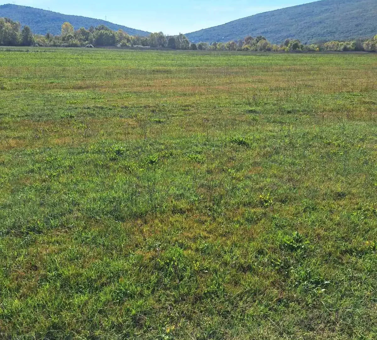 Prodaja, plac, 9000m², Podgorica, Crna Gora