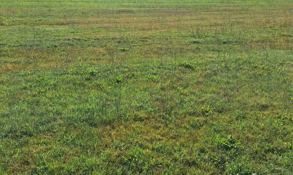 Sale, land lot, 9000m², Podgorica, Crna Gora