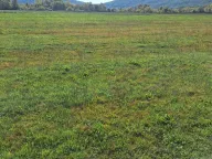 Sale, land lot, 9000m², Podgorica, Crna Gora - image 1