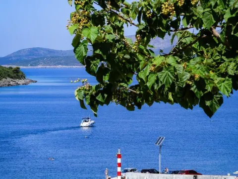 Izdavanje, kuća, 170m², Bigova, Kotor - image 18