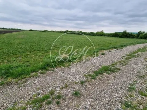 Prodaja, plac, 7400m², Deč, Pećinci - image 2