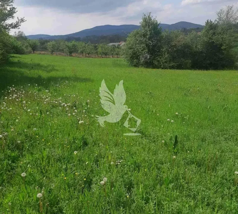 Prodaja, plac, 12000m², Koraćica, Mladenovac