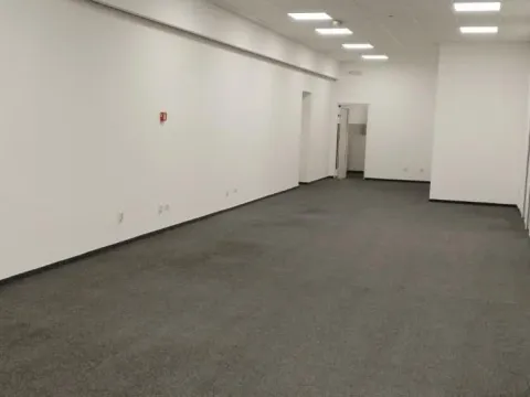 Izdavanje, poslovni prostor, 320m², Novi Beograd Blok 65, Novi Beograd Sve Podlokacije - image 6