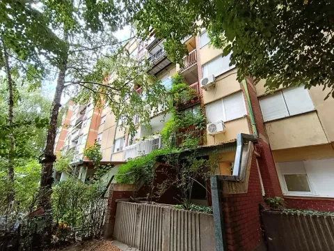 Prodaja, dvosoban stan, 50m², Liman 4, Novi Sad Sve Podlokacije - image 4