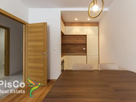 Izdavanje, jednosoban stan, 45m², New City, Podgorica - image 7