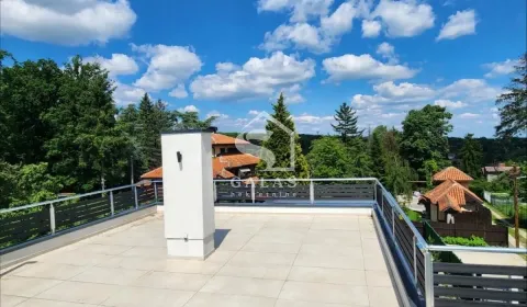 Spacious rooftop terrace with a view of the surrounding greenery and neighborhood. - image 17