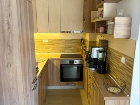 Izdavanje, jednosoban stan, 45m², Podgorica, Crna Gora - image 2