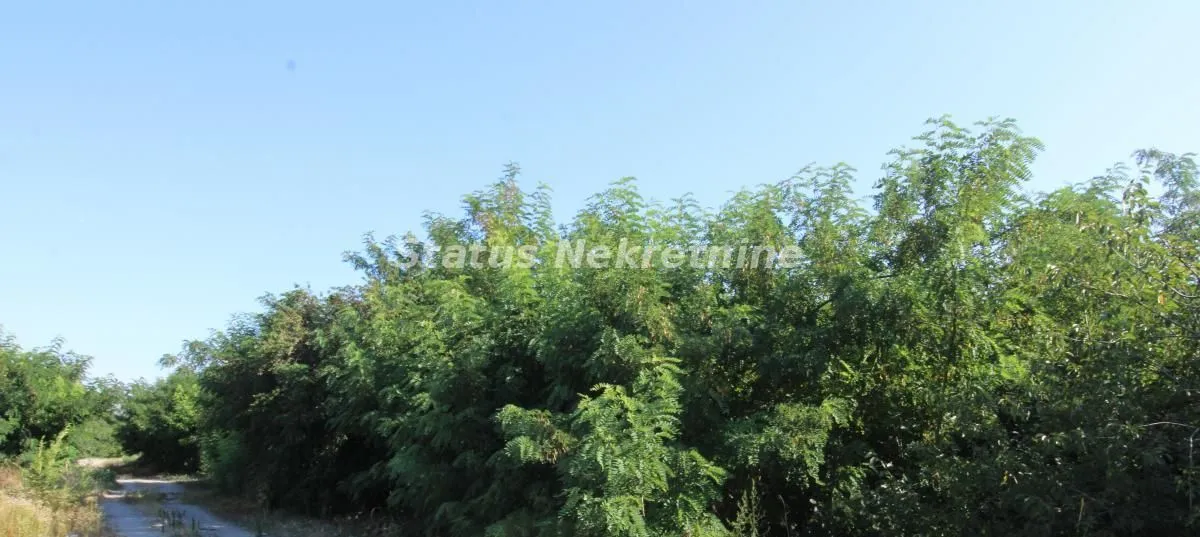 Sale, land lot, 6396m², Šangaj, Novi Sad Sve Podlokacije