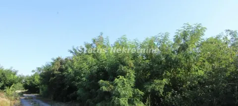 Sale, land lot, 6396m², Šangaj, Novi Sad Sve Podlokacije - image 16