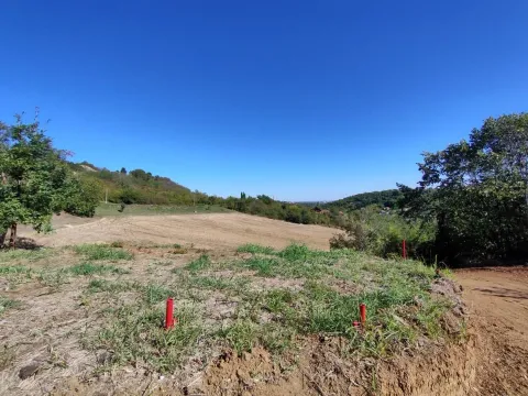 Sale, land lot, 700m², Sremska Kamenica, Petrovaradin - image 4