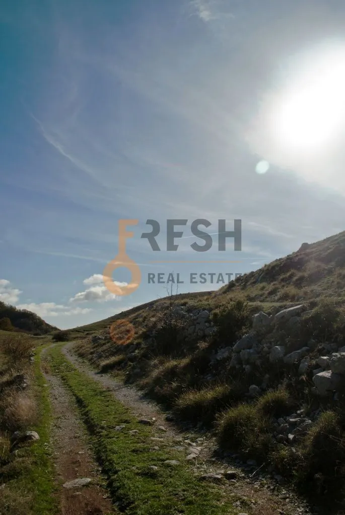 Prodaja, plac, 4307m², Cetinje, Crna Gora