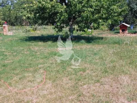 Prodaja, kuća, 150m², Pružatovac, Mladenovac - image 6