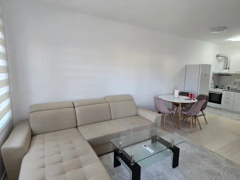 Rent, one bedroom apartment, 43m², Zabjelo, Podgorica - image 2