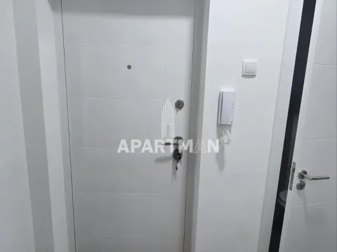 Izdavanje, jednosoban stan, 29m², Savski Venac, Beograd - image 11