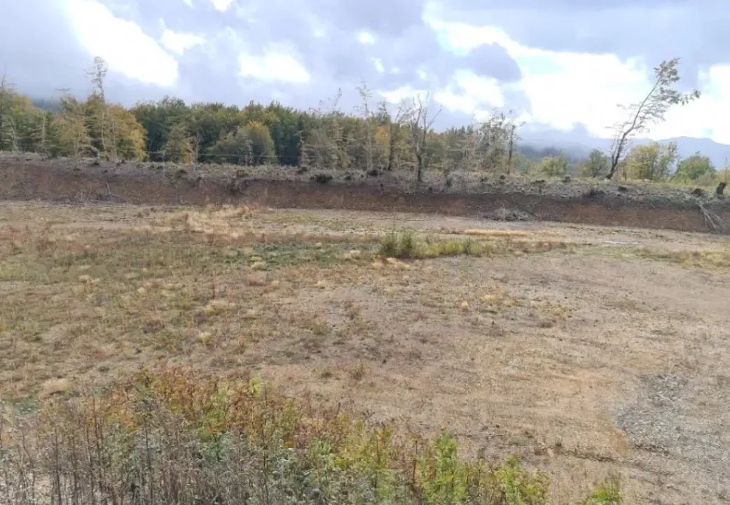 Sale, land lot, 6000m², Kolašin, Crna Gora