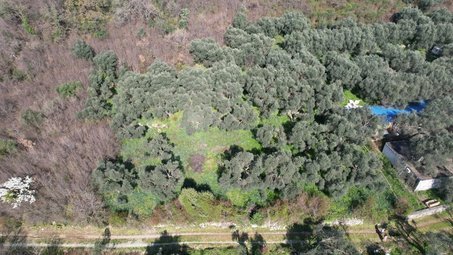 Prodaja, plac, 15810m², Buljarica, Budva