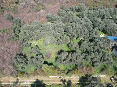 Prodaja, plac, 15810m², Buljarica, Budva - image 21