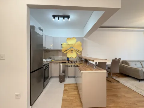 Rent, one bedroom apartment, 50m², Stari Aerodrom, Podgorica - image 4