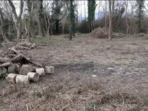 Prodaja, plac, 700m², Bigova, Kotor - image 3