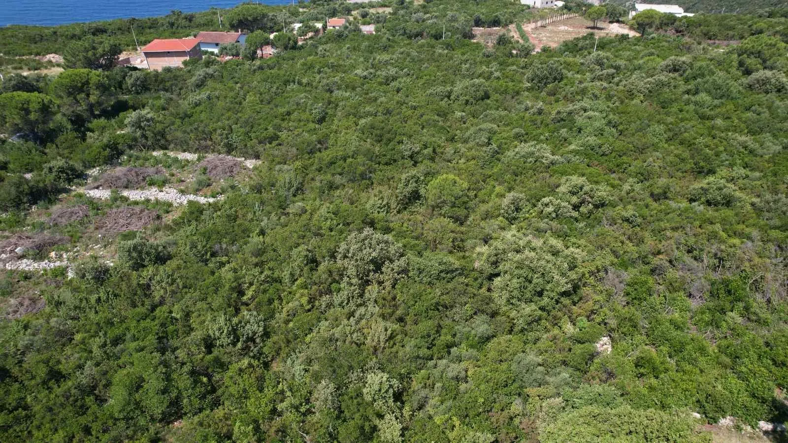 Prodaja, plac, 2060m², Zagora, Kotor