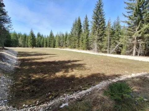 Sale, land lot, 6750m², Podgora, Žabljak