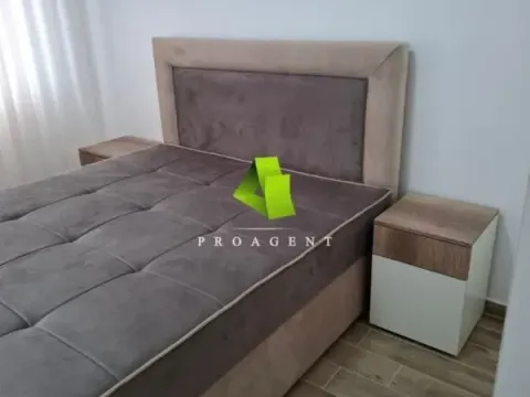 Rent, one bedroom apartment, 50m², Pantelej, Niš - image 5