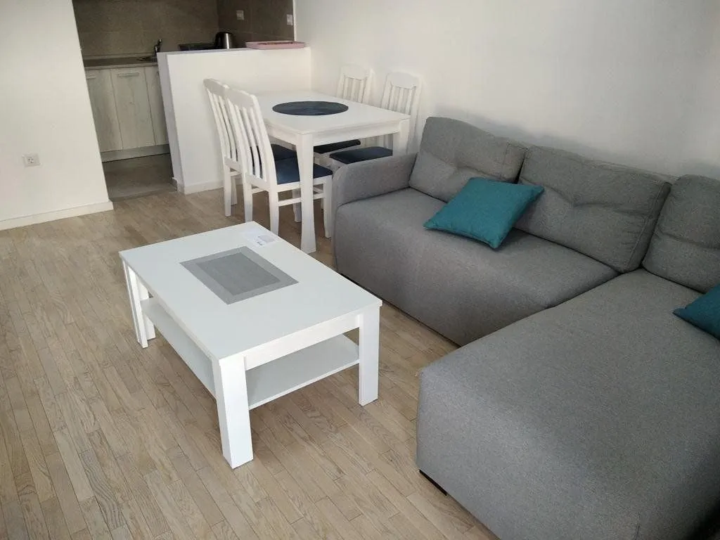 Izdavanje, jednosoban stan, 48m², Dalmatinska ulica, Podgorica