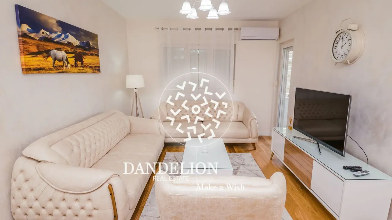 Rent, one bedroom apartment, 50m², Central Point, Podgorica