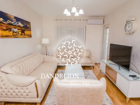 Rent, one bedroom apartment, 50m², Central Point, Podgorica