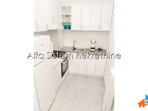 Izdavanje, stan, 35m², Voždovac Sve Podlokacije, Beograd - image 8