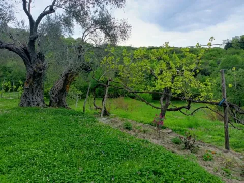 Prodaja, plac, 10172m², Ulcinj, Crna Gora - image 8