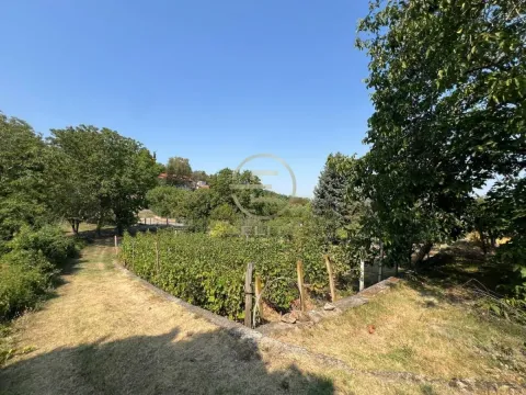 Prodaja, kuća, 99m², Karagača, Petrovaradin - image 6