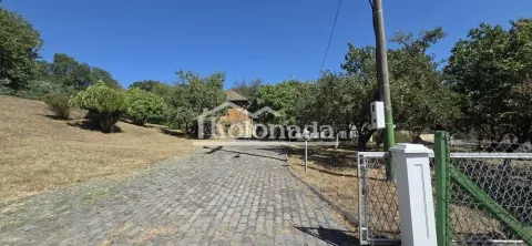 Prilaz sa popločanom stazom koja vodi ka kući u dvorištu. - image 3