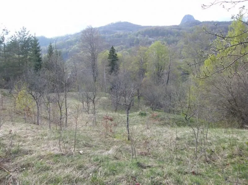 Prodaja, plac, 23600m², Kolašin, Crna Gora